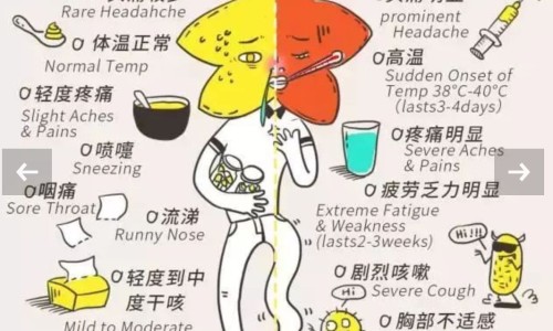高血压吃绞股蓝降压吗-高血压吃完降压片身上冷网 | 高血压吃药降压后可以停药吗,高血压吃绞股蓝降压吗